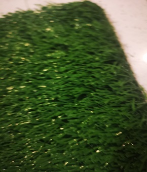 優(yōu)質草坪特性