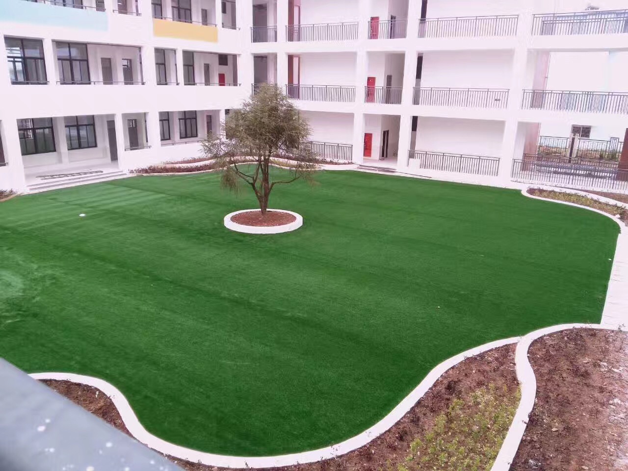 福建三明沙縣某中心小學(xué)案例